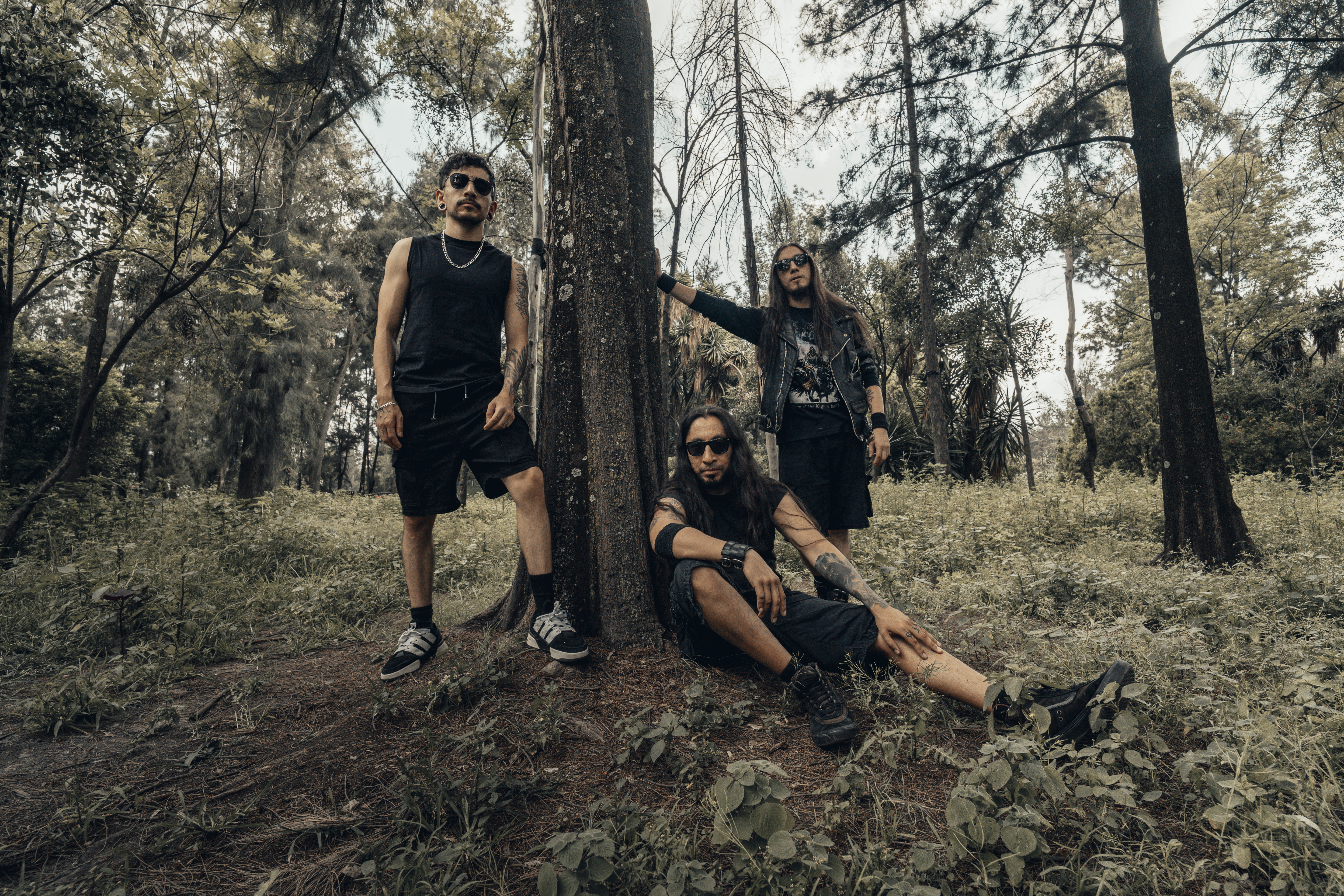 Vulgar Addiction Studio