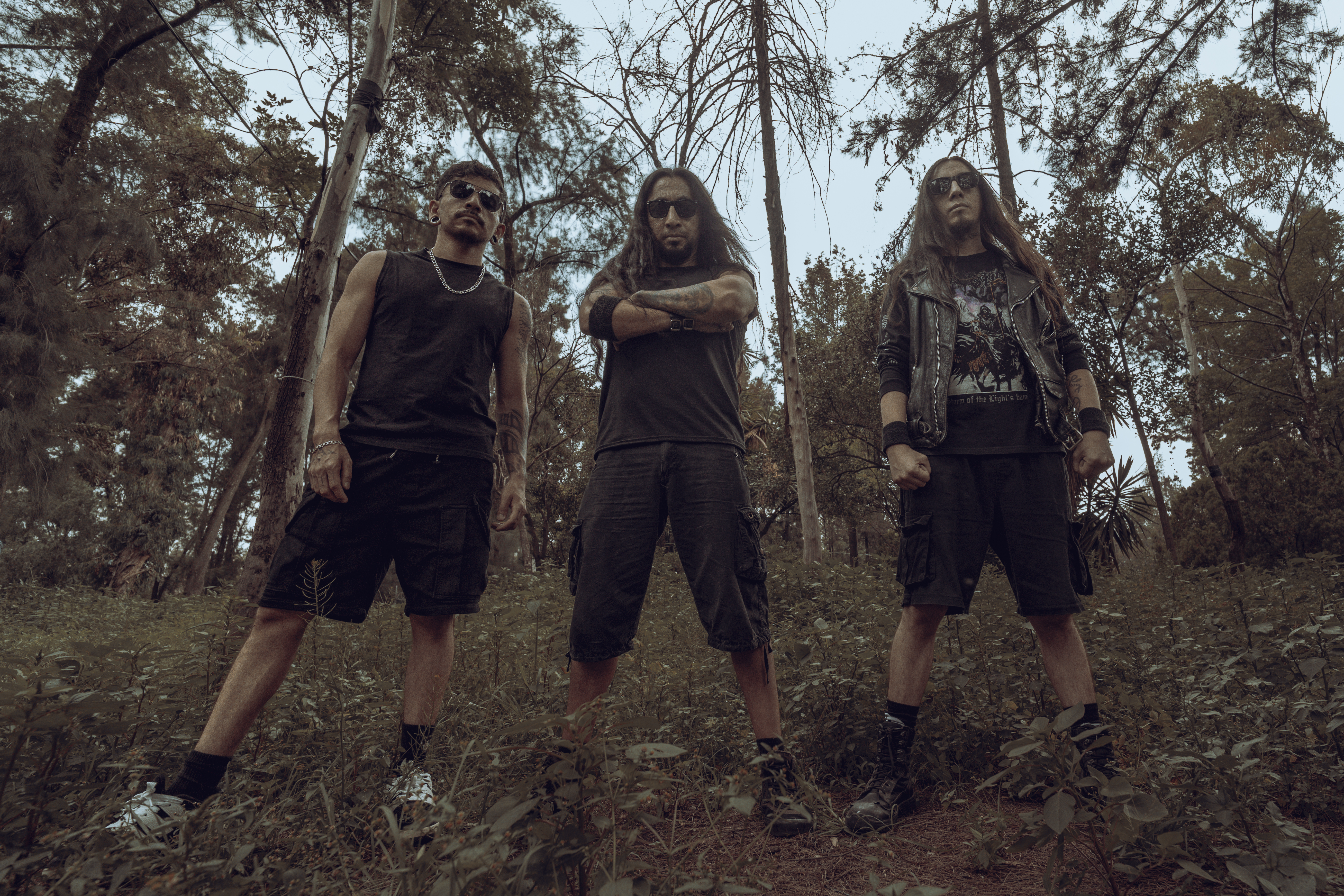 Vulgar Addiction Band